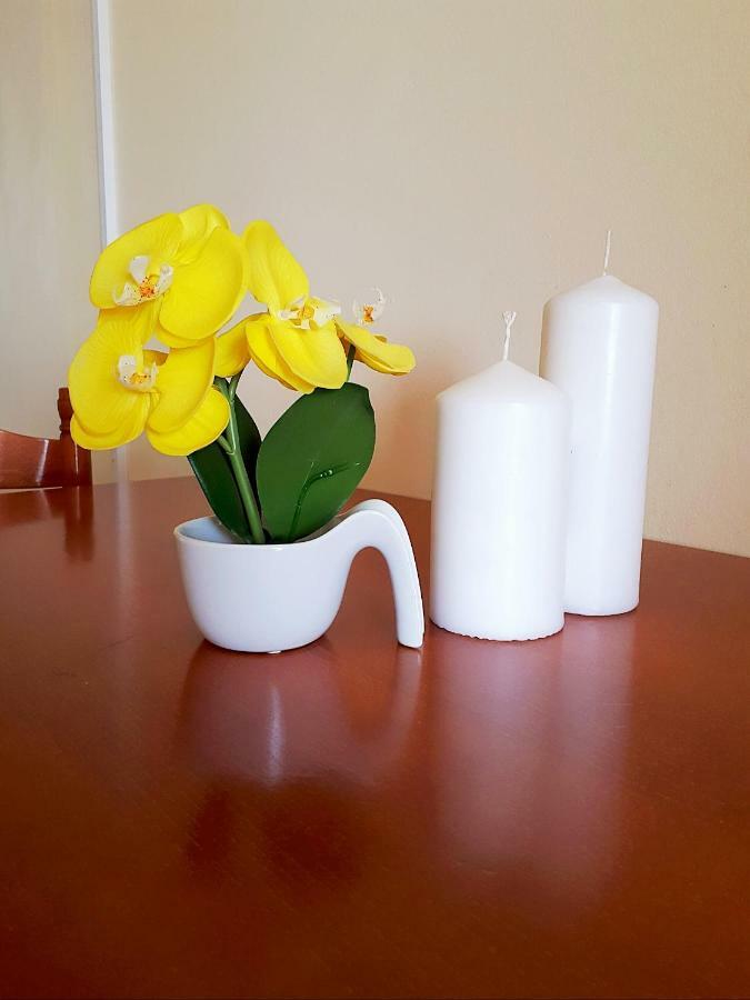 Dani Appartement *